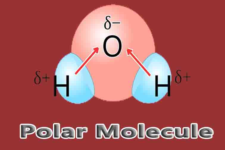 Polar Molecule
